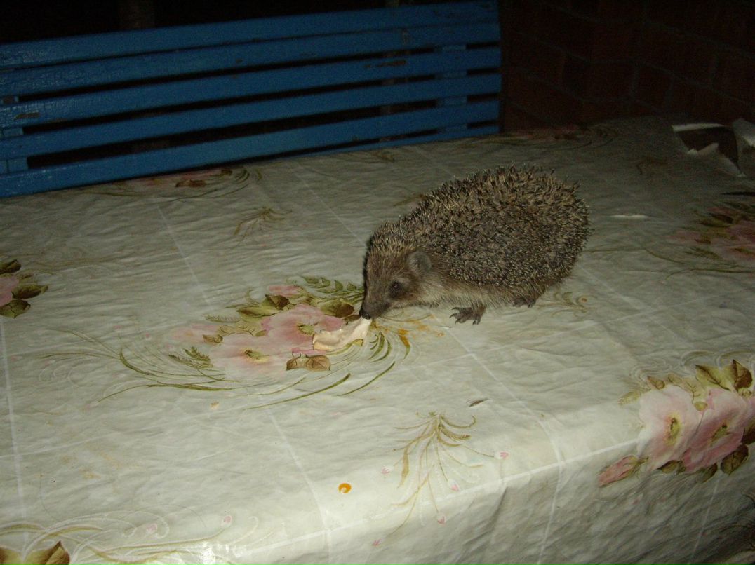 Алексей Поляков | Нижний Новгород