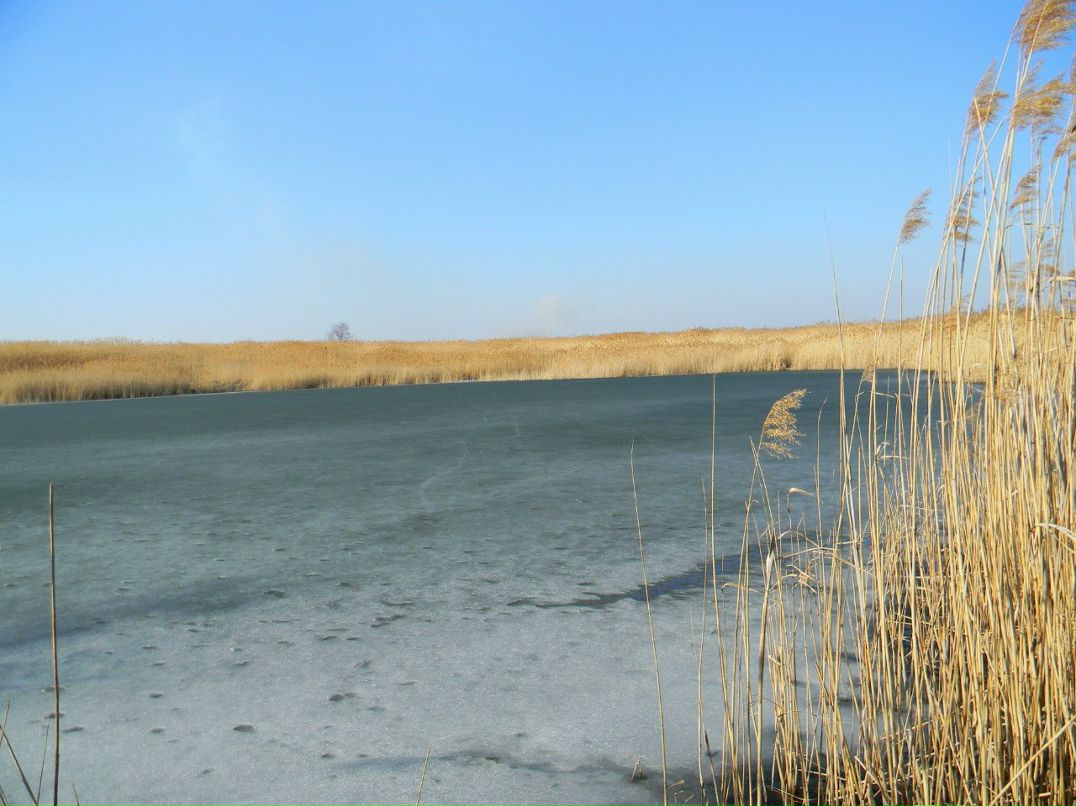 Ірина Гірка | Киев