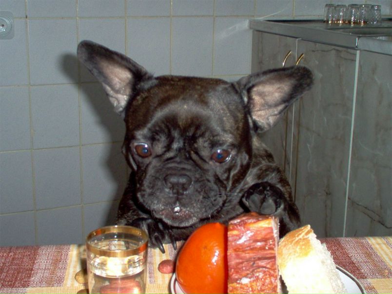 №6, Александр Сучков №6, Александр Сучков