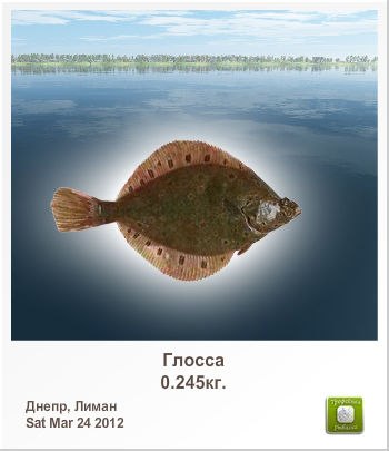 Валерий Куделя | Кривой Рог