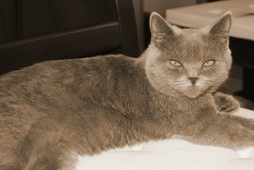 Ольга Куценко | Королёв