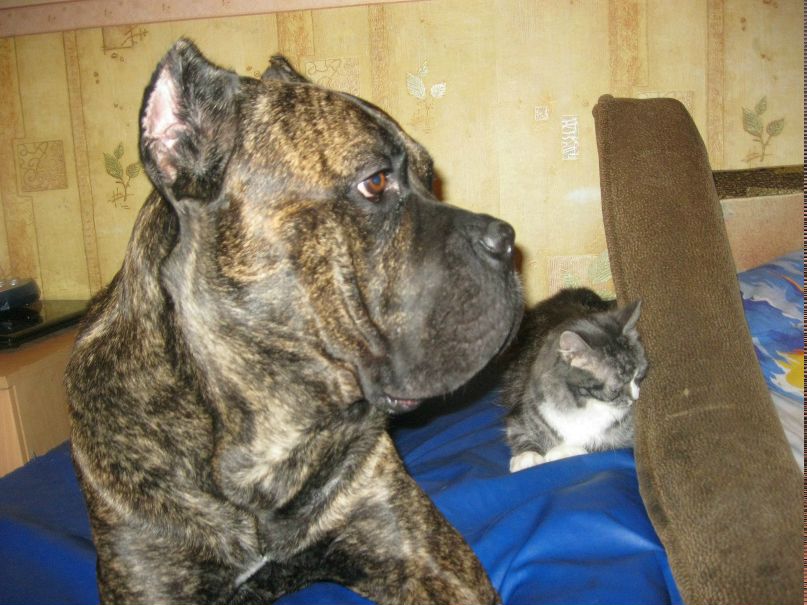 Sergey M. | Санкт-Петербург