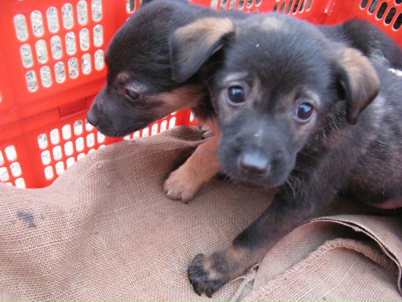 №58, Денис Юрченко, Днепр (Днепропетровск) №58, Денис Юрченко, Днепр (Днепропетровск)