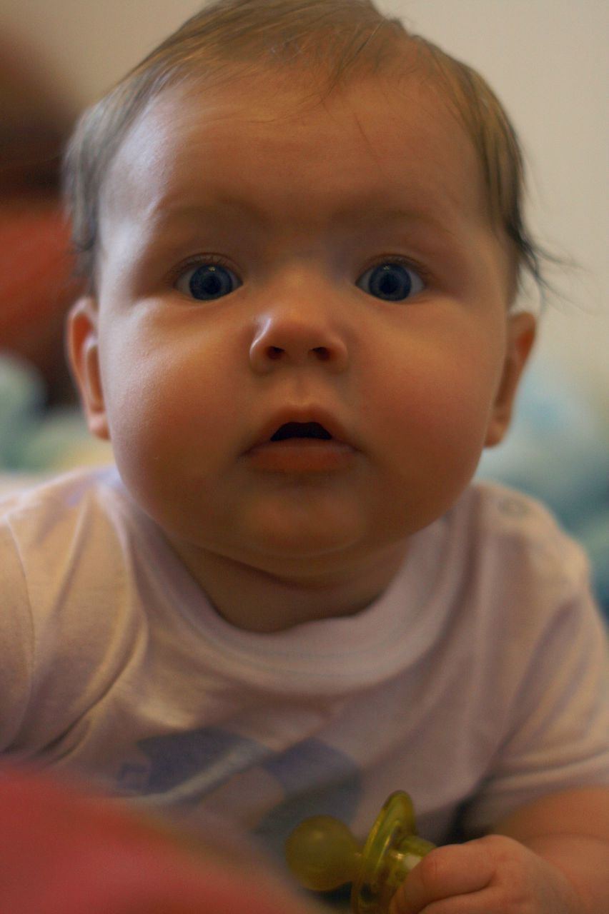 Буся Brown | Оренбург