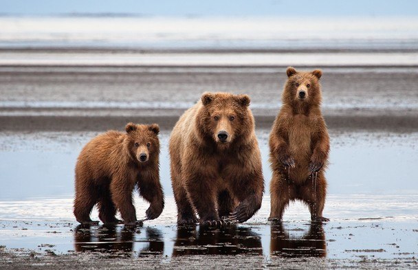 Павел Шеховцов Владимирович | Пущино