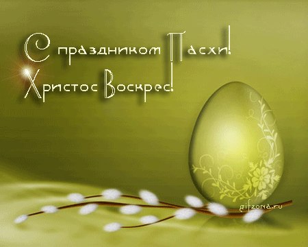 Паша Плещак Nokarukuta | Запорожье