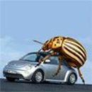 Дмитрий Негодяйкин del_all | Рязань