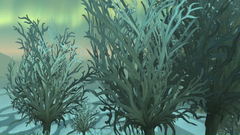 Ксения Панина (Kestrella Vindon) | Москва