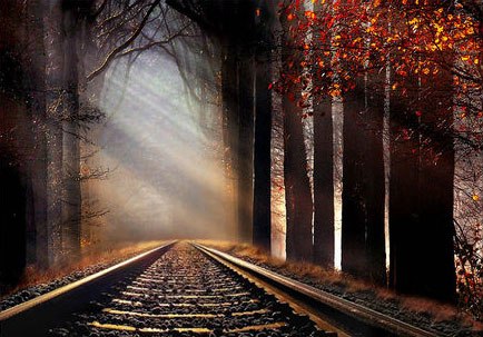 Сергей Александрович | Санкт-Петербург