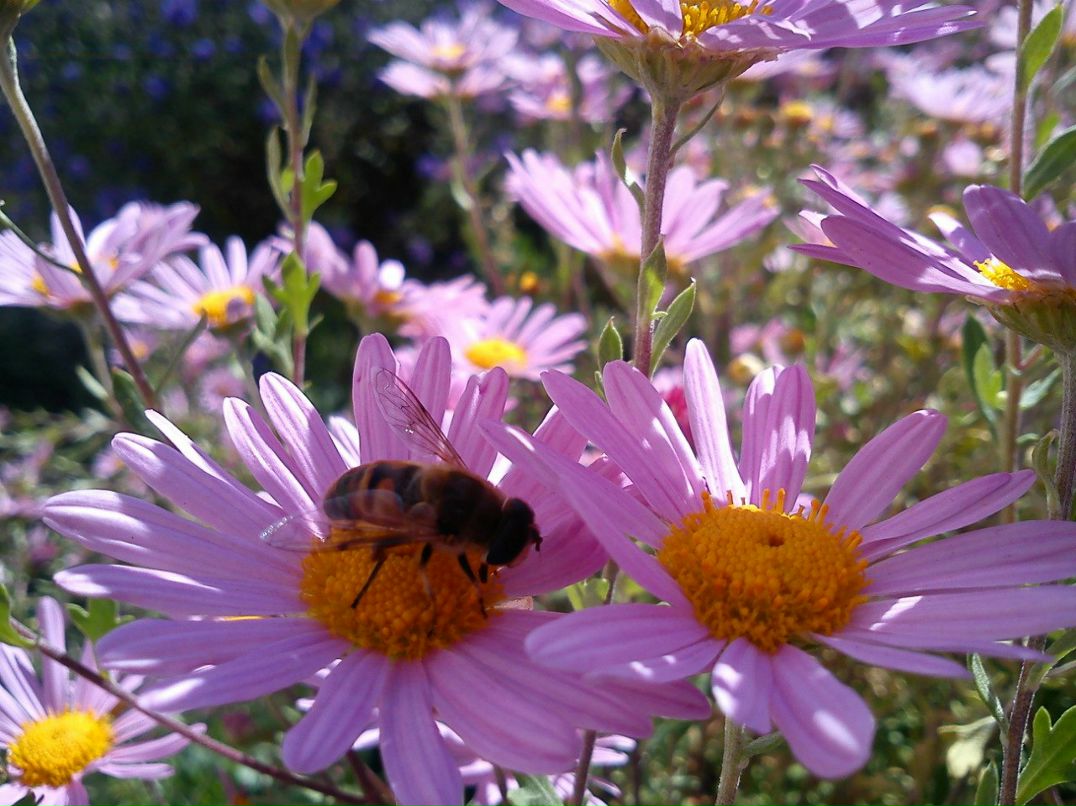 Людмила Давыдова | Харьков