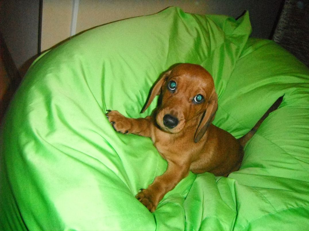 Андрей Погорелый | Ханты-Мансийск