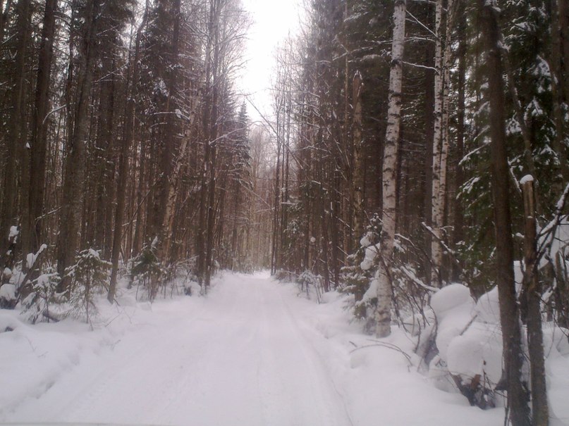 Иван Петухов | Юсьва