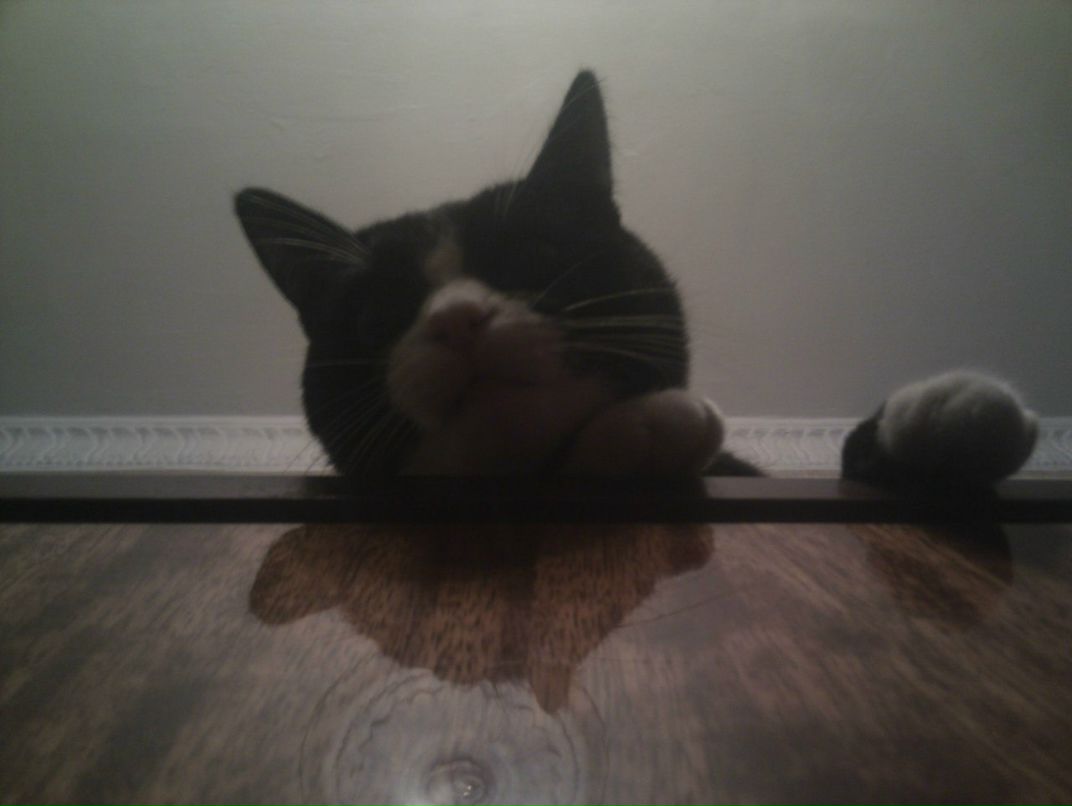 Александр Гончаров | Москва