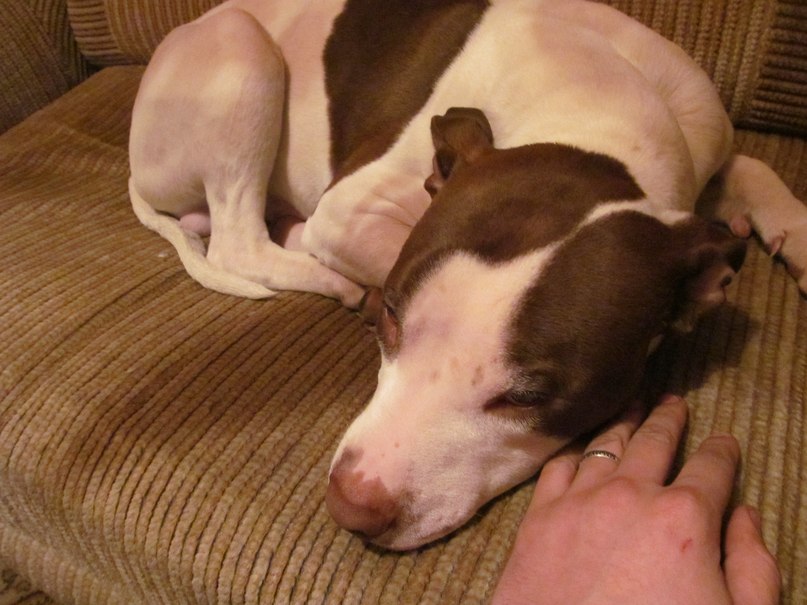 Александр Александров Анатольевич | Псков