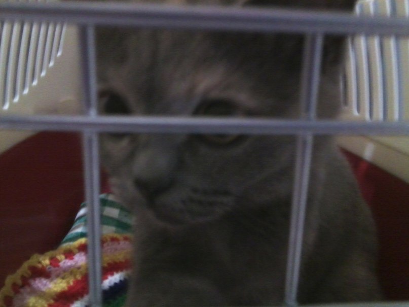 Полина Обухова | Ижевск