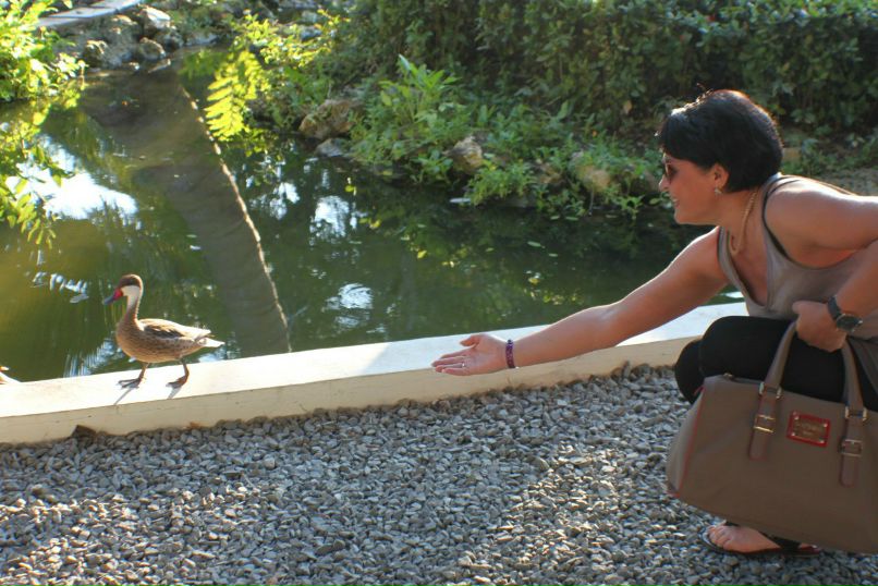 Юлия Сницарь | Одесса