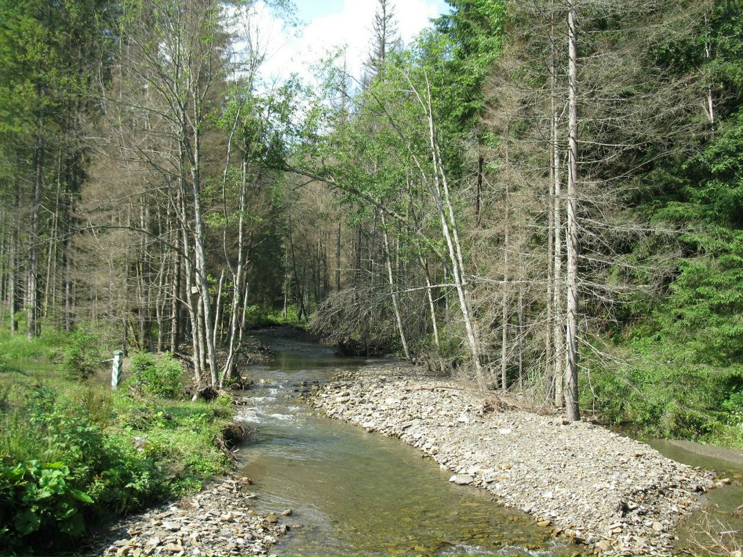 Валентина Медведева | Москва