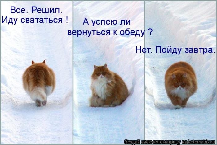 Татьяна Богданова | Санкт-Петербург