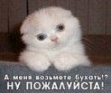 Владислав Киреев | Донецк