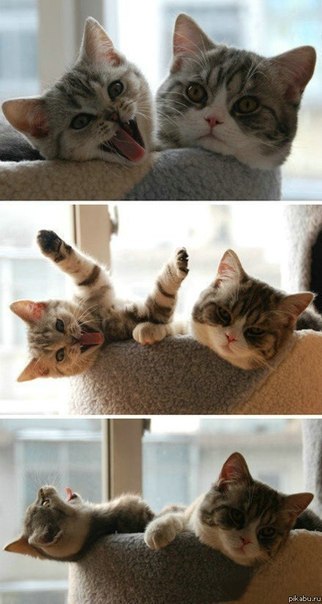 Дима Филатов | Стерлитамак