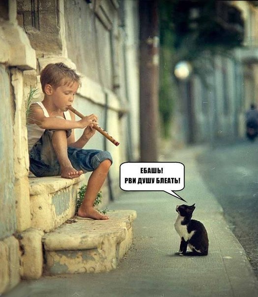 Святослав Безпальчук | Житомир