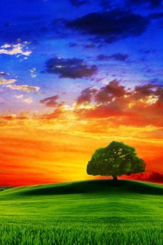 №17, Тёмка Вдовин №17, Тёмка Вдовин