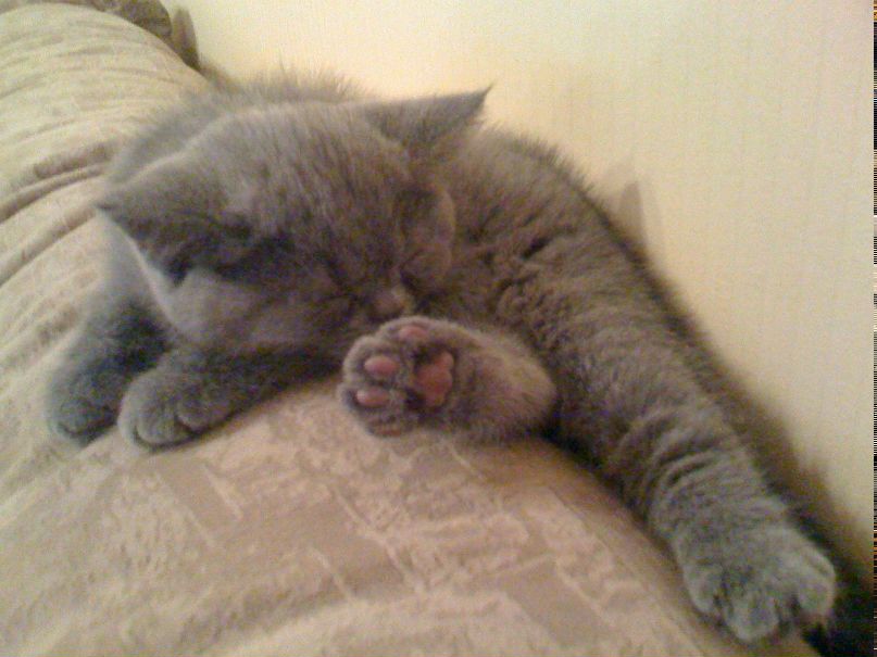 Наталья Полик | Санкт-Петербург