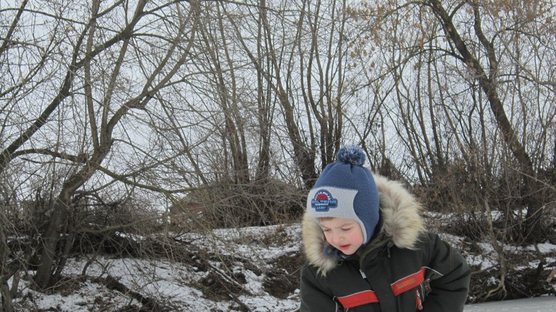 Валерий Быков | Шахово