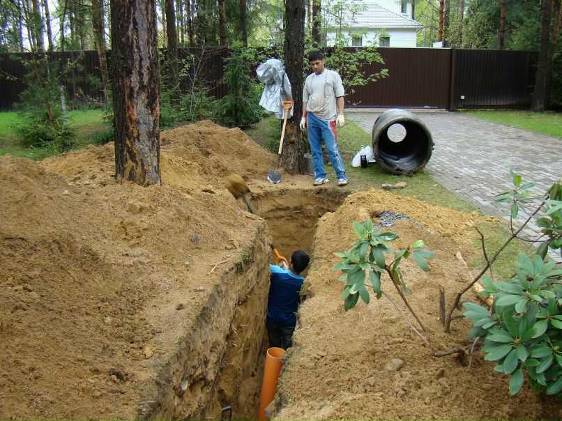 Дмитрий Каратаев | Санкт-Петербург
