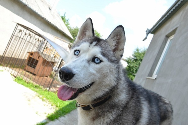 №90, Святослав Юхнович, Тернополь №90, Святослав Юхнович, Тернополь