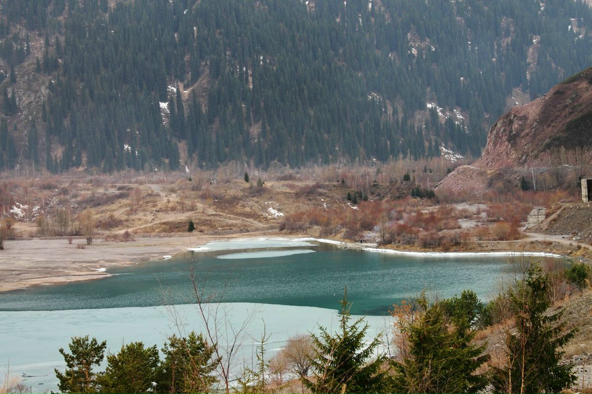 Николай Шмидт Михалыч | Алматы