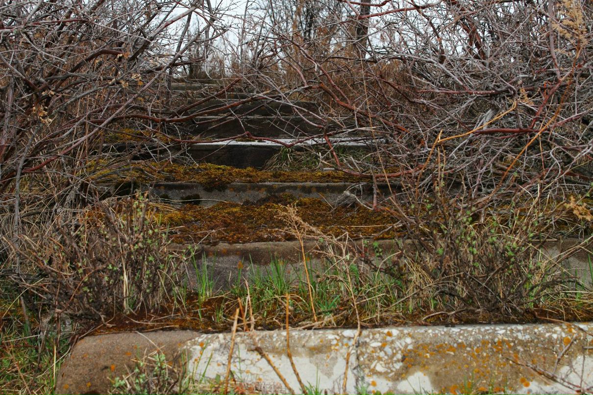 Николай Шмидт Михалыч | Алматы