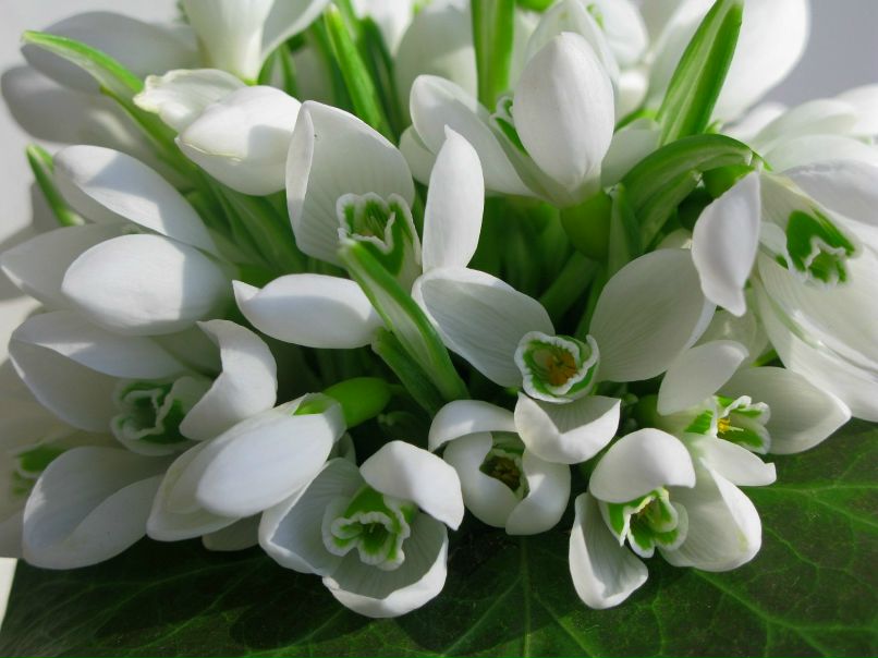 Яна Похилюк | Винница