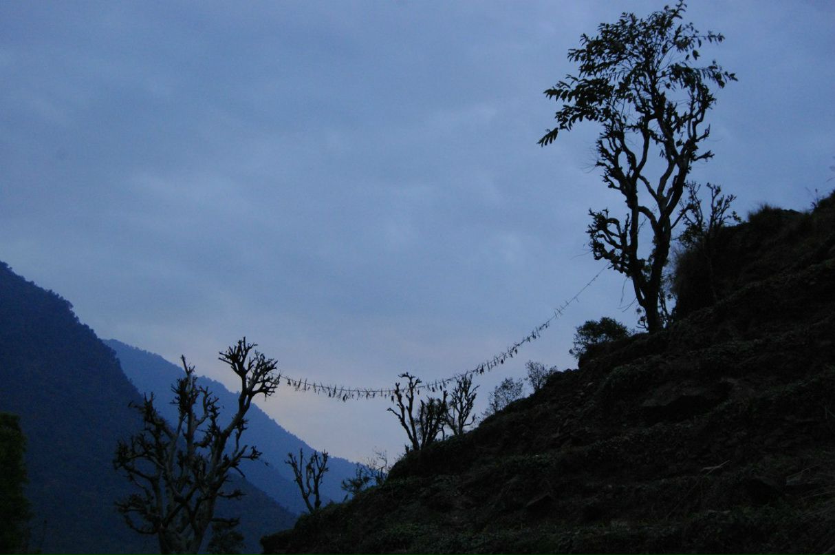 Иван Пилюгин Skiv | Москва