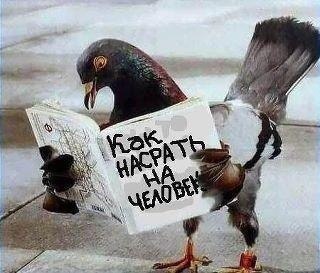 Андрей Маримонов Анатольевич | Красноярск