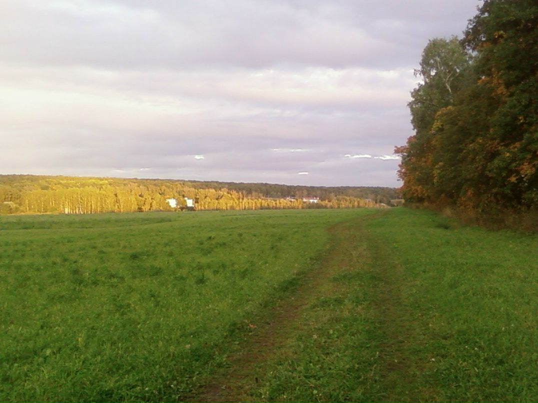 Андрей Тарасов | Ясная Поляна