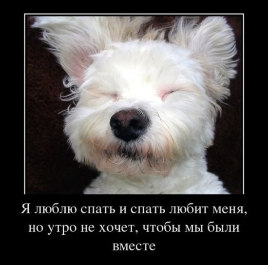 Серго Чернобрывец | Кондопога