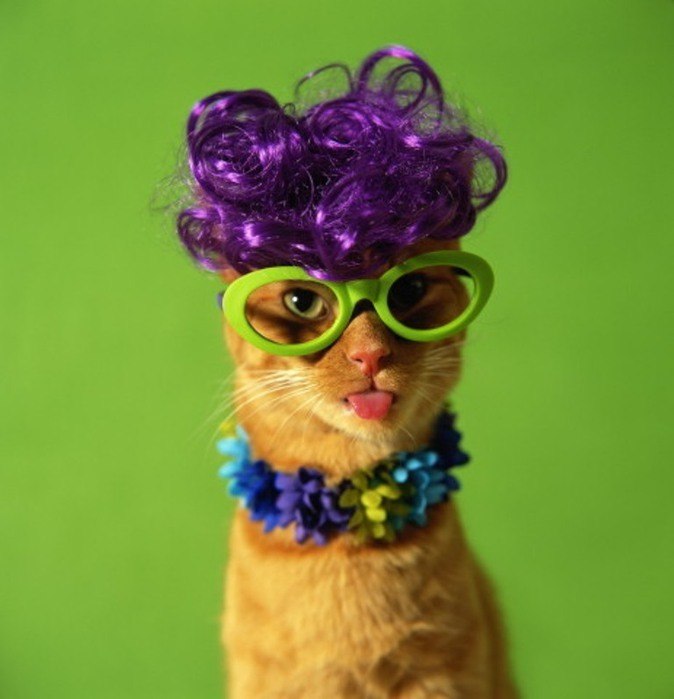 Ленуша Тынянских | Москва