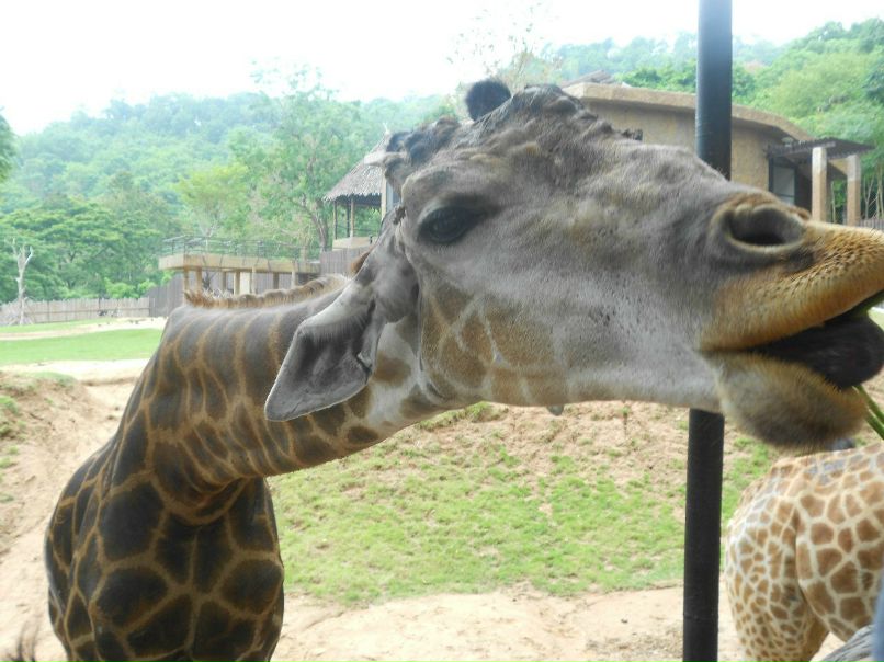 Денис Ильченко | Советский