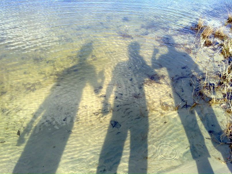 Romchik Legnar short-track | Харьков