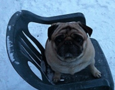 Станислав Чекланов Юрьевич | Домодедово