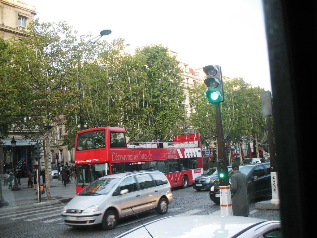 Елена Колонина | Калининград