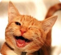 Серёга Теленков Dark | Саксагань