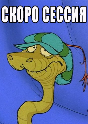 Ксенія Роман | Киев