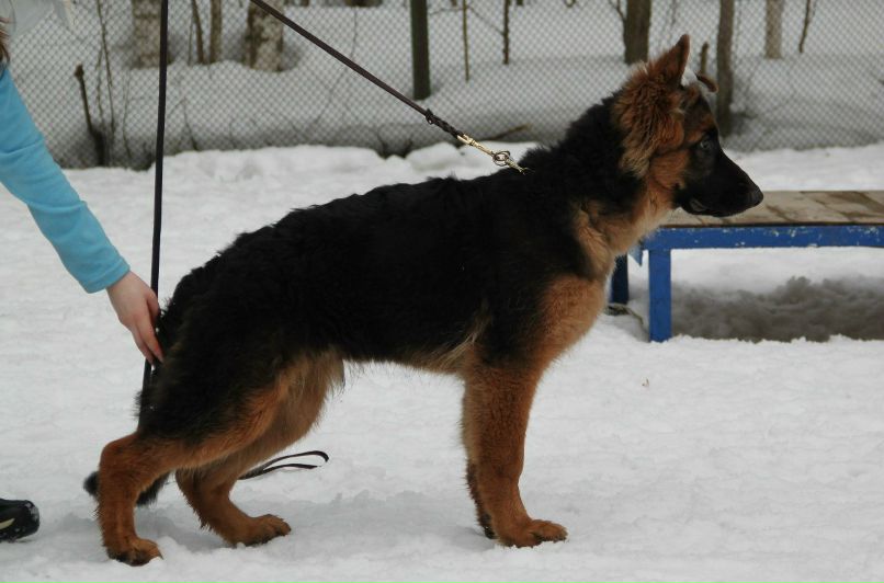 Вика Петлина | Москва