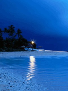 Екатерина Тимофеева | Санкт-Петербург