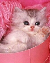 Павел Рыжов | Северодвинск