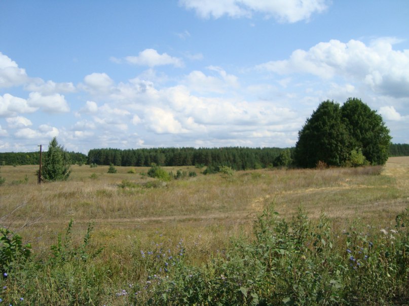 Дима Терентьев | Санкт-Петербург