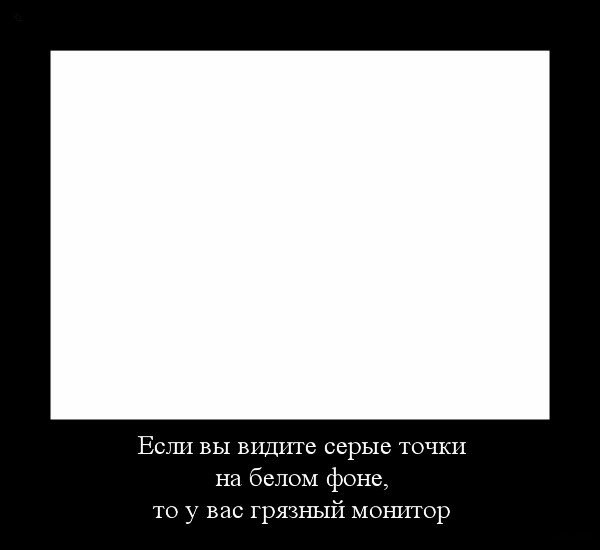 Areshek Thebest Forever | Санкт-Петербург