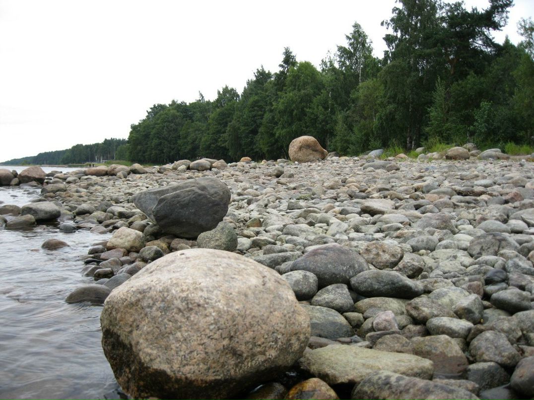 Юра Савушкин | Санкт-Петербург